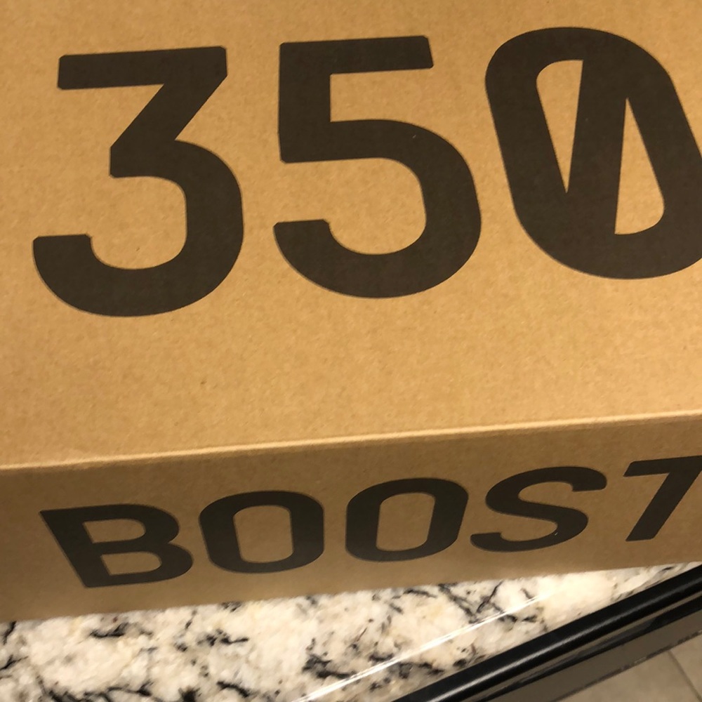 Light/Light/Light Yeezy Size 9.5